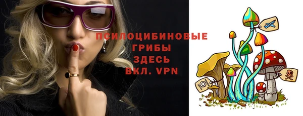 гашик Абаза