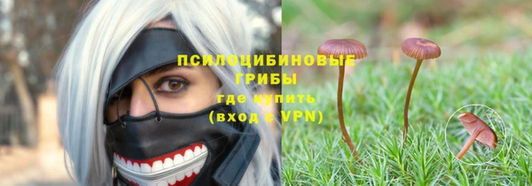 экстази Алексин