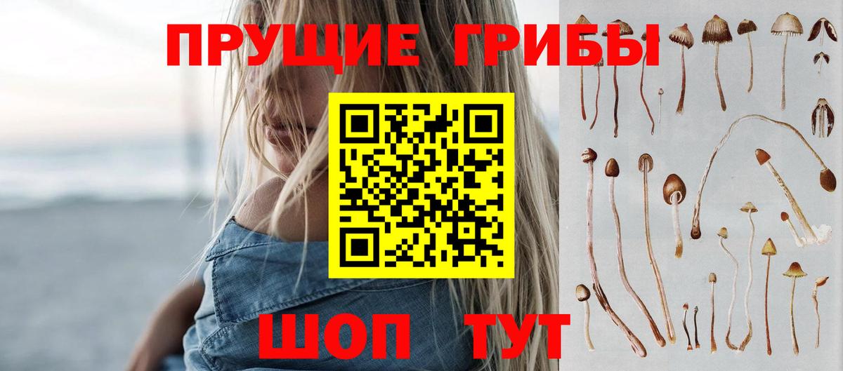 Псилоцибиновые грибы мухоморы  где продают   Благодарный  Вход с VPN 